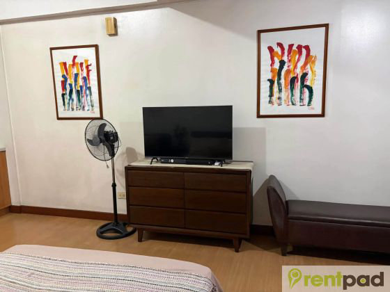 The Malayan Plaza condo in Ortigas — photo 12